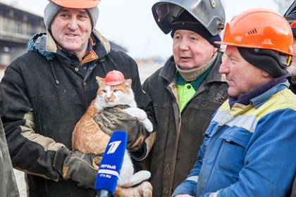 Путина обскакал котик