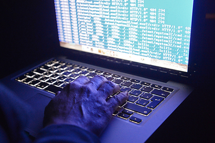 Россиян предупредили о новом виде интернет-мошенничества