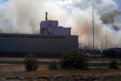 На месте пожара в Чернобыле нашли факелы