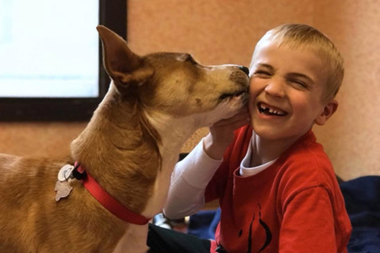 Шестилетний мальчик спас от смерти больше тысячи собак