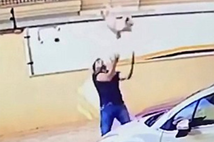 Бразилец поймал упавшую с девятого этажа собаку