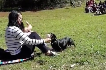 Девушка доела мороженое за собакой и спровоцировала спор в сети