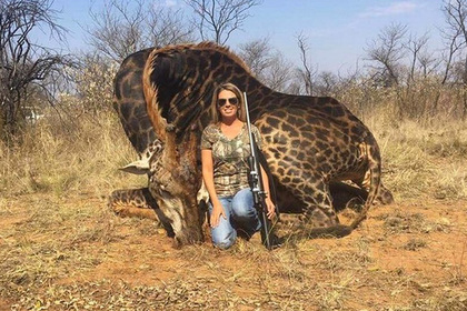 Охотница попозировала на фоне туши редкого жирафа и попала под шквал критики