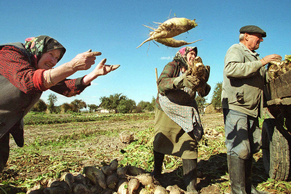 Россия оказалась крайней в споре молдавских фермеров и властей Приднестровья