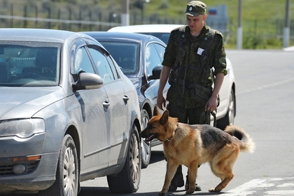 Сотрудника ФСБ задержали с 8 килограммами наркотиков в колесах машины