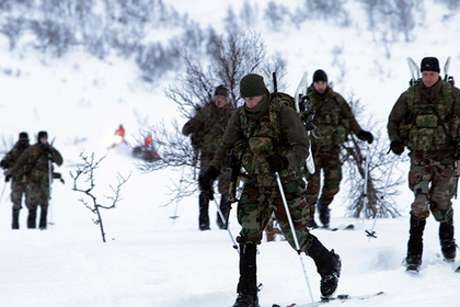 Голландские военные поехали на учения в Норвегию и замерзли