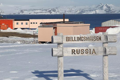 Петербуржцы устроили поножовщину на научной станции в Антарктиде