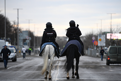 Российские полицейские назвали своих истощенных лошадей бодрыми и активными