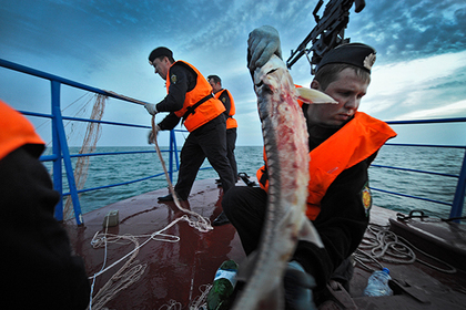 Украинских рыбаков задержали в Азовском море за браконьерство