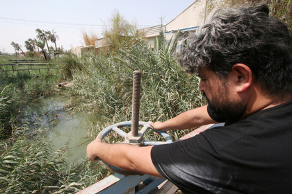 В Ираке питьевой водой отравились более 100 тысяч человек