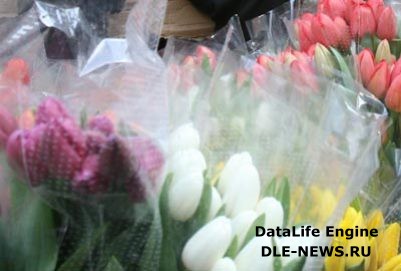 Власти Румынии ввели запрет на импорт цветов из Нидерландов
