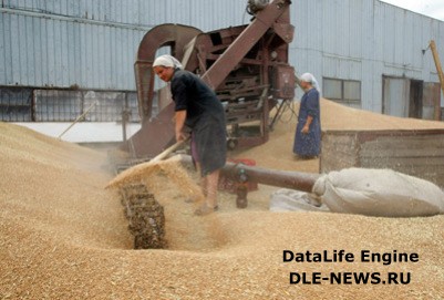 Казахстан со следующего года отменяет выдачу лицензий на экспорт зерна