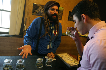 В Колорадо впервые отчитались о налогах с продаж марихуаны