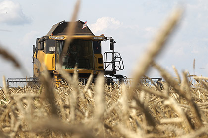 Экспорт пшеницы из России вырос в шесть с лишним раз