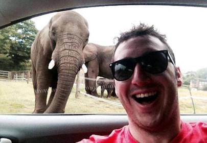 В Англии слониха сфотографировала себя на iPhone