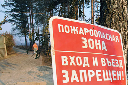Въезд в подмосковные леса на праздники запретили из-за угрозы пожаров