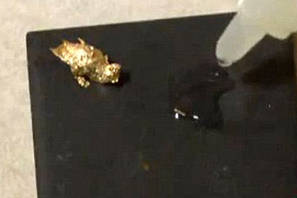 Американцев напугали кусочки золота в воде из-под крана