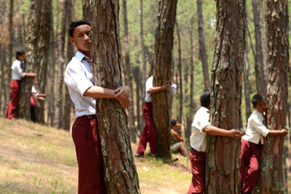 Две тысячи непальцев обнялись с деревьями