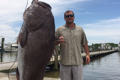 Рыбак выловил 135-килограммового морского окуня
