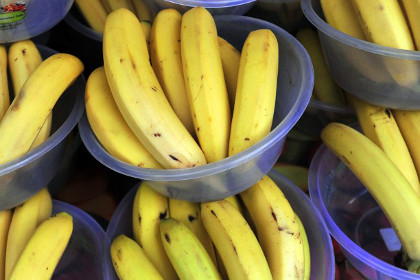 В Португалии в коробках из-под бананов нашли 237 килограммов кокаина