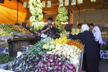 Овощи и фрукты из Палестины заменят россиянам европейские