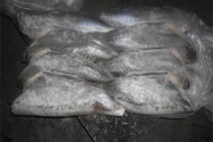 Украина попыталась ввезти в Крым 40 тонн запрещенной рыбы