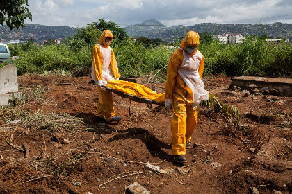 Количество погибших от лихорадки Эбола превысило четыре тысячи человек