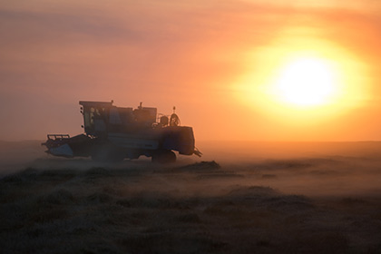 Россия намолотила более 100 миллионов тонн зерна