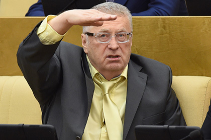 Жириновский усмотрел вину главы Total в катастрофе во Внуково