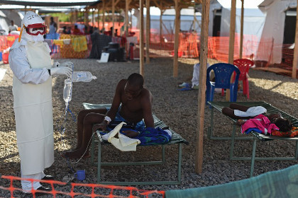 Во Всемирной организации здравоохранения спрогнозировали спад эпидемии Эболы