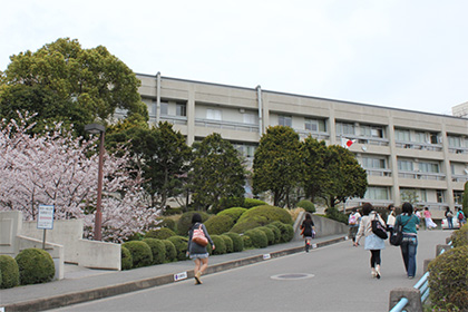 Японец обвинил женский институт в дискриминации