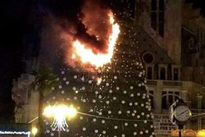Главная елка Батуми загорелась на глазах у мэра города