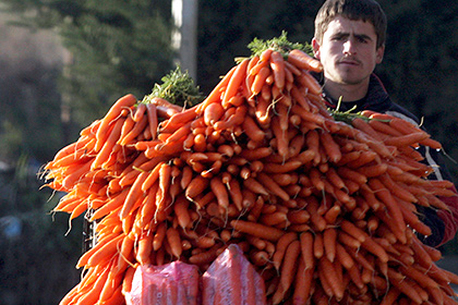 Россельхознадзор запретил растительную продукцию из Албании