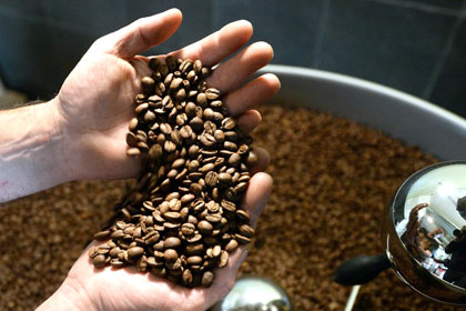 В партии кофе из Бразилии нашли 33 килограмма кокаина