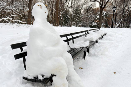 Интернет-общественность высмеяла паникующих из-за снегопада нью-йоркцев