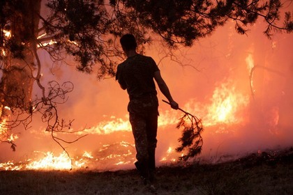 На Украине назвали поджог причиной лесного пожара в чернобыльской зоне