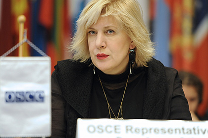 ОБСЕ нашла угрозу свободе слова в украинском законе о декоммунизации