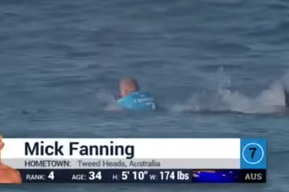 Акула атаковала чемпиона мира по серфингу во время соревнований