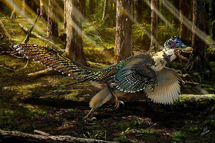 Ученые нашли крупнейшего хищного пернатого динозавра