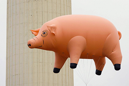 Pink Floyd вернут надувную свинью Элджи