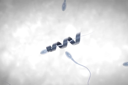Побеждающие мужское бесплодие спермоботы показаны на видео