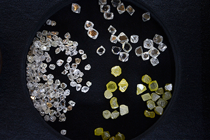 Полиция начала выемку документов в Гохране в связи с пропажей алмазов