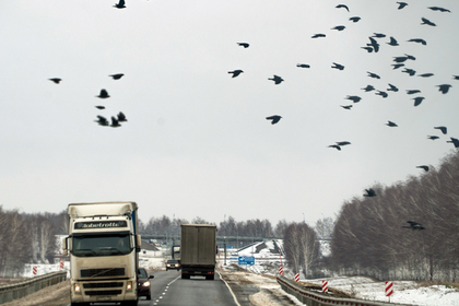 Экспорт Украины в Азию упал в пять раз из-за запрета на транзит через Россию