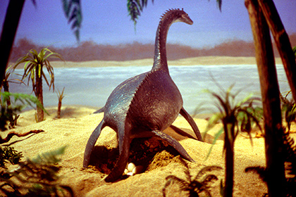 Динозавры мезозоя отказались жить в Европе