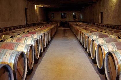 Из подвалов винодельческого кооператива во Франции исчезло 500 тысяч литров вина