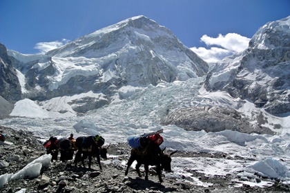 В Гималаях обнаружили погибших 17 лет назад альпинистов