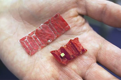 В сети показали оригами-робота для извлечения батареек из желудка
