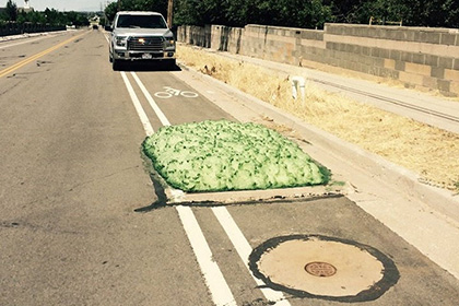 Из канализации в штате Юта вылезла таинственная зеленая слизь