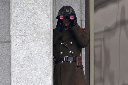 СМИ рассказали о страхе КНДР перед лицом змей-шпионов