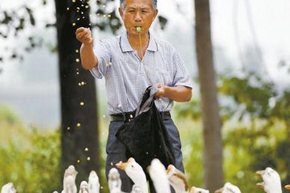 71-летний фермер прославился на весь Китай благодаря хипстерской фотосессии